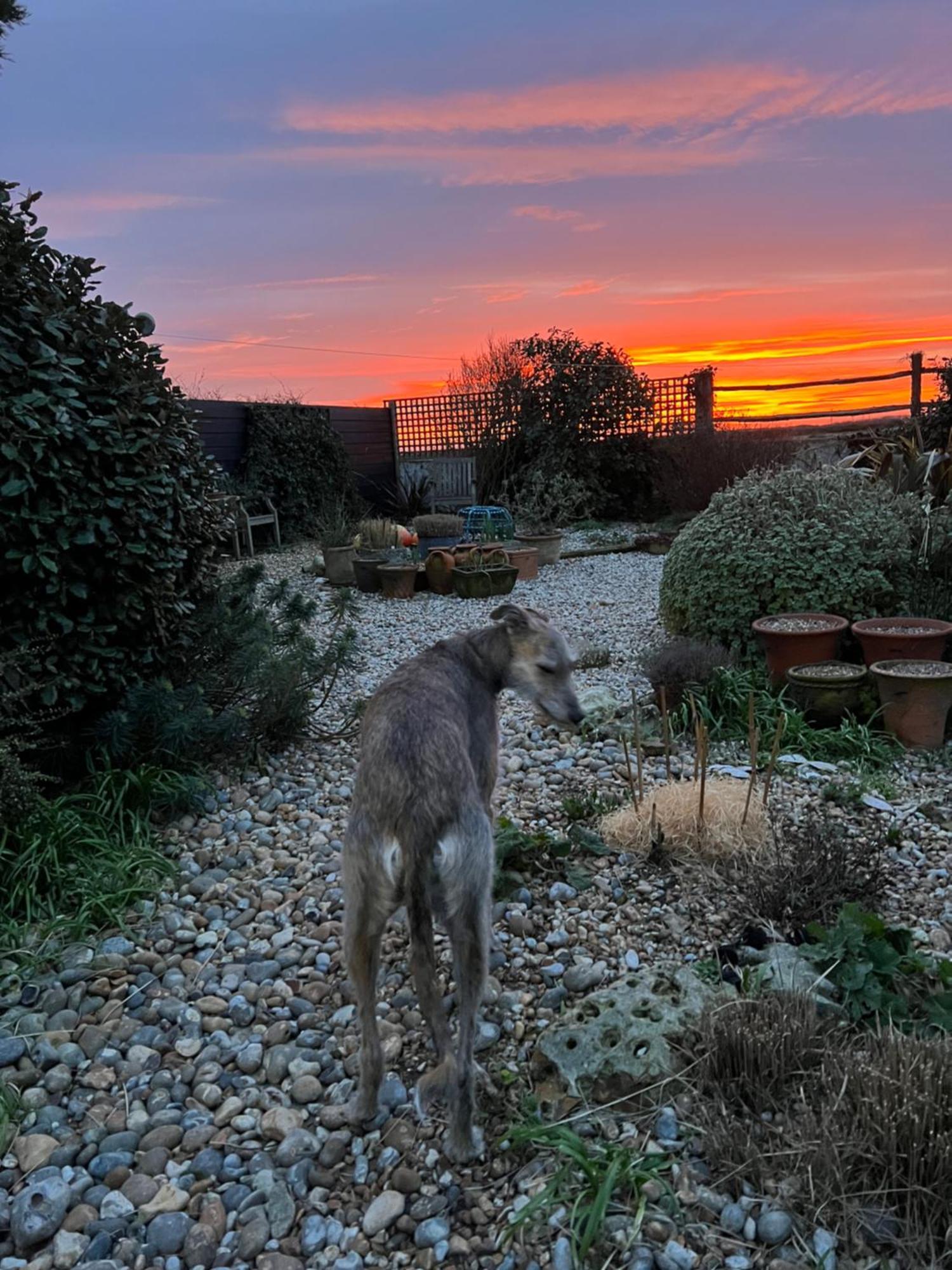 Bed and Breakfast Pluto House Dungeness Exterior foto